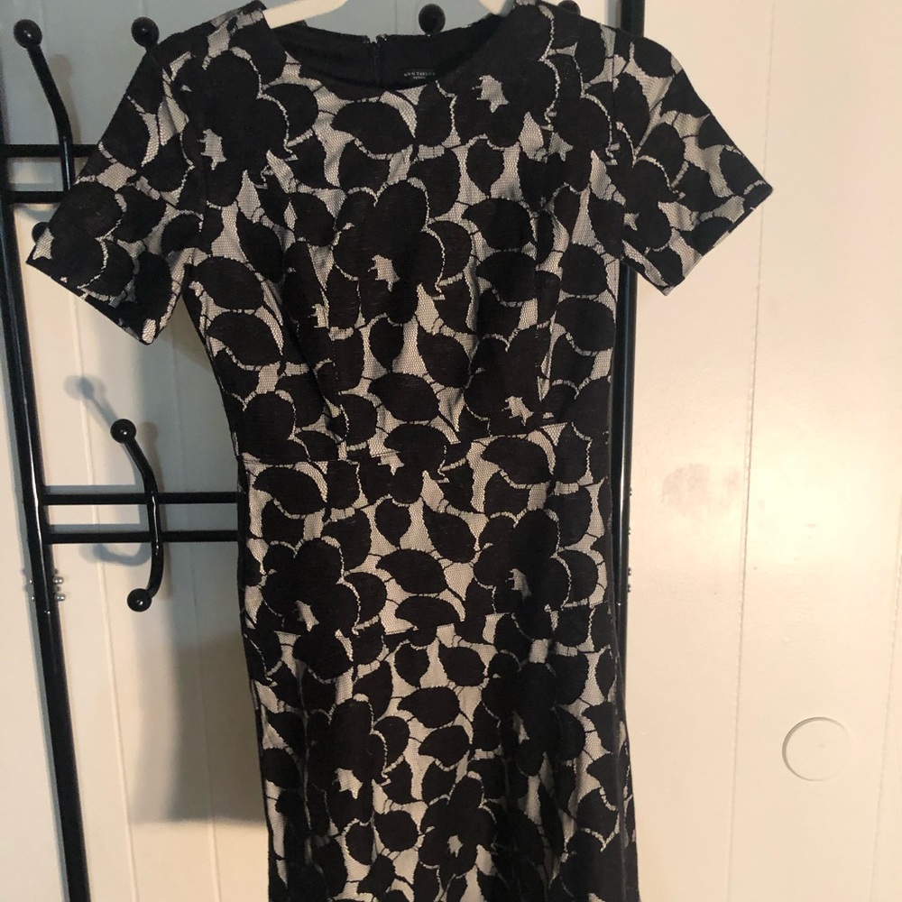 Pretty Ann Taylor short sleeved knee length dress